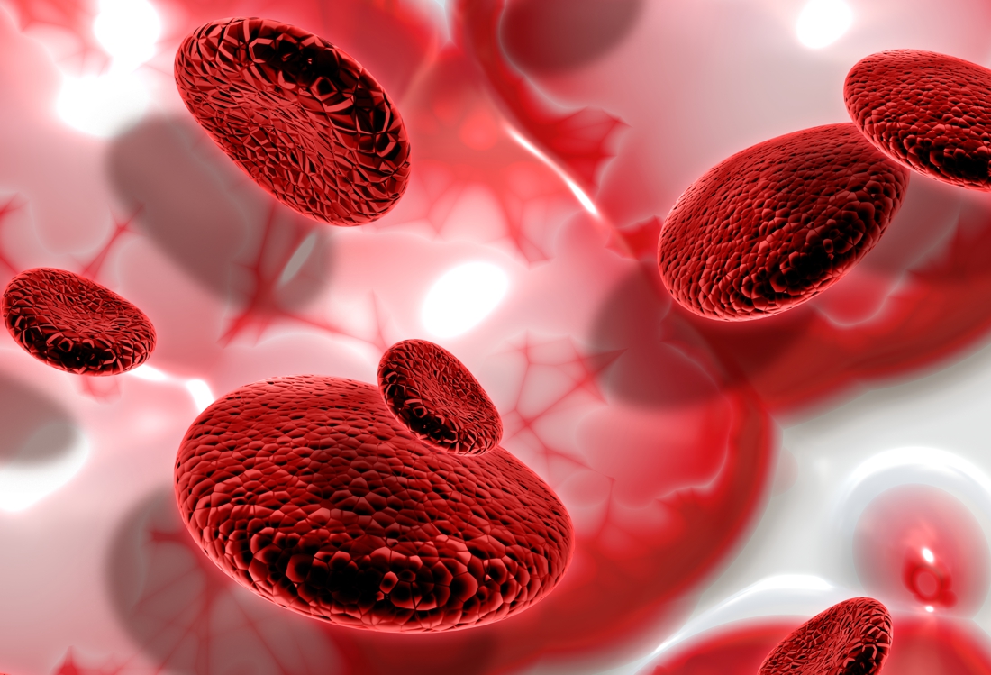 3D render of blood cells on abstract background